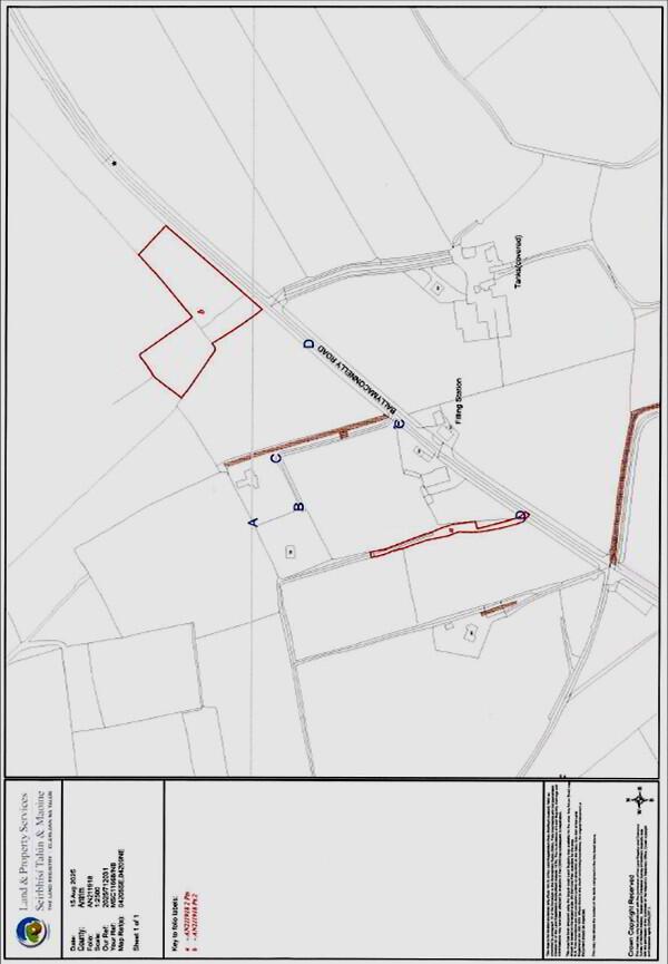 Land At 54 Ballymaconnelly Road