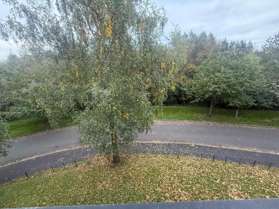 46 Rosses Meadow