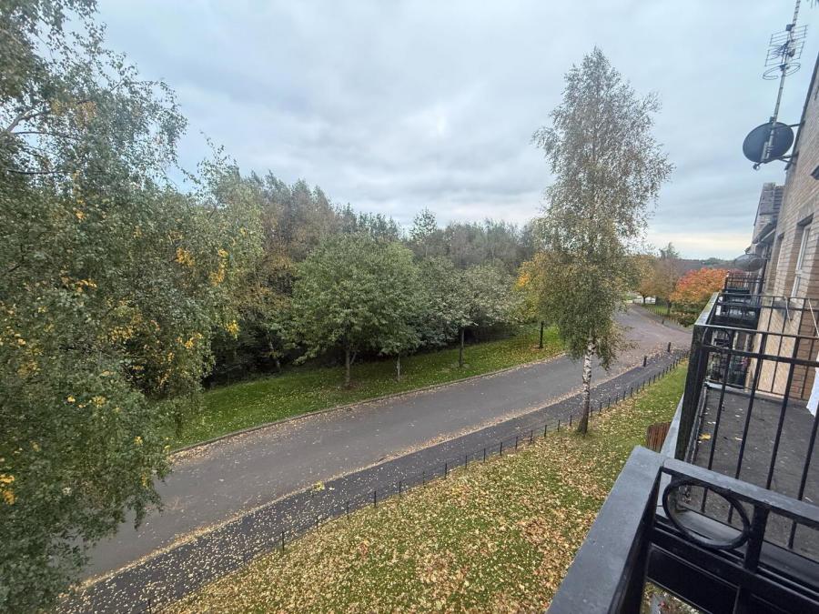 46 Rosses Meadow