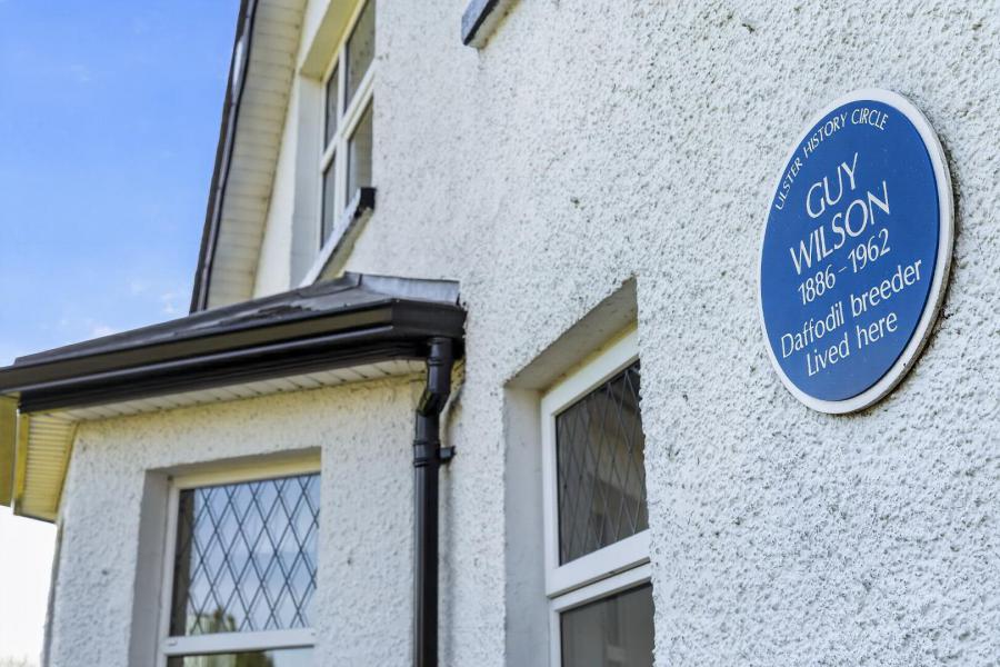 Knockan Lodge, 50 Knockan Road