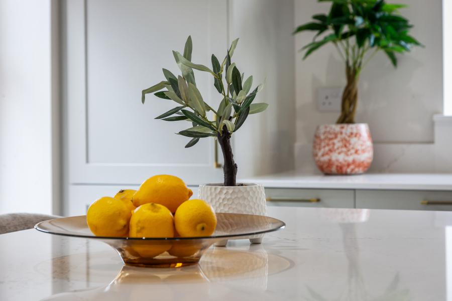 Site 47,Ben Eden Mullberry, Antrim Road