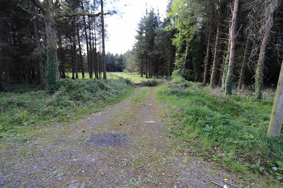 Building Site At Tullynagowan Whitepark Road, Ashbrooke