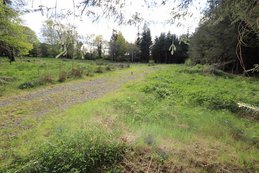 Building Site At Tullynagowan Whitepark Road, Ashbrooke