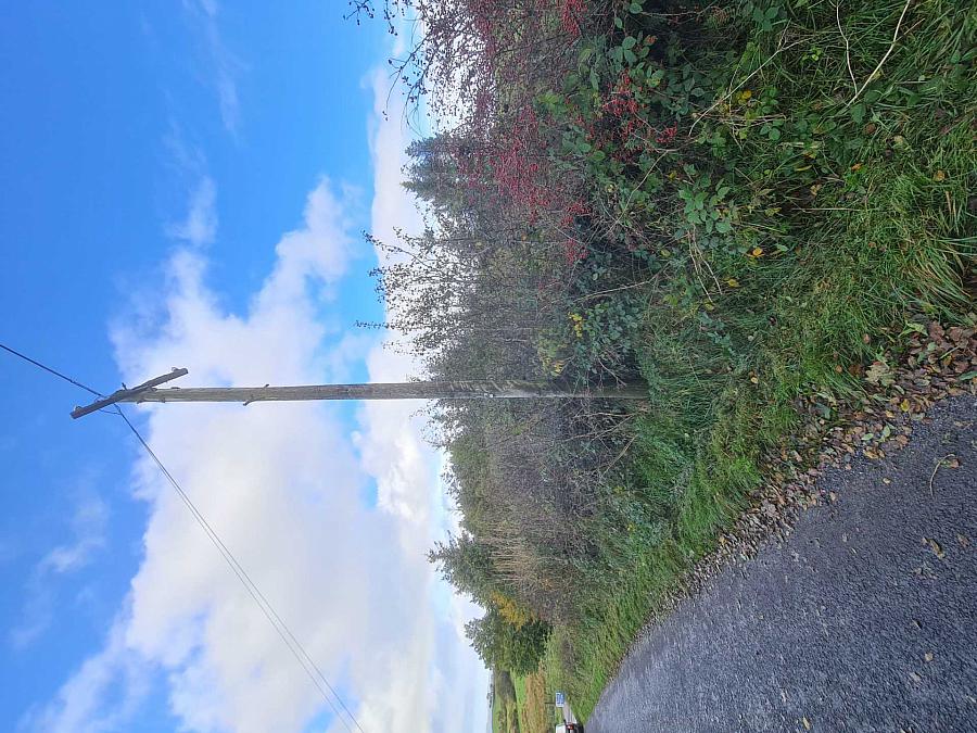 100M North Of 46 Eshmore Road