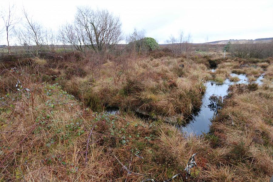 20 Site On Ramaley Road