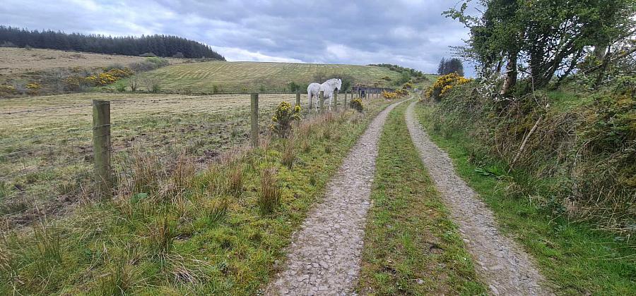 19 4 Acres And Planning Eshmore Road