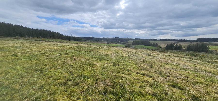 19 4 Acres And Planning Eshmore Road