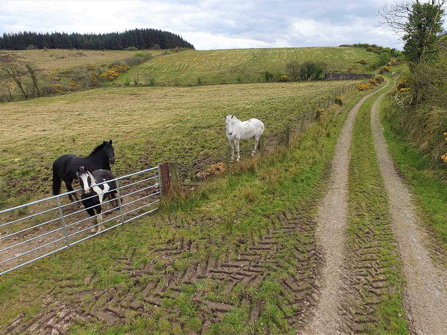 19 4 Acres And Planning Eshmore Road