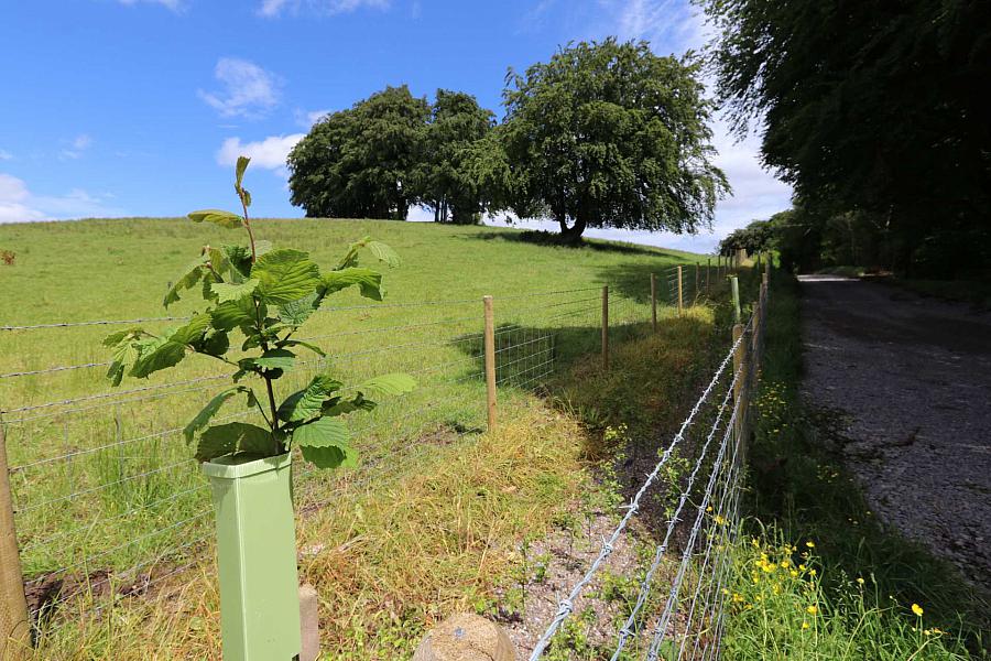 Site With Fpp Cullion Road