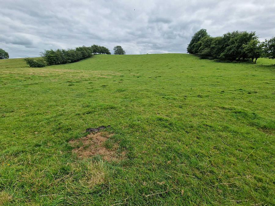 Circa 27 8 Acres Altaveedan Road