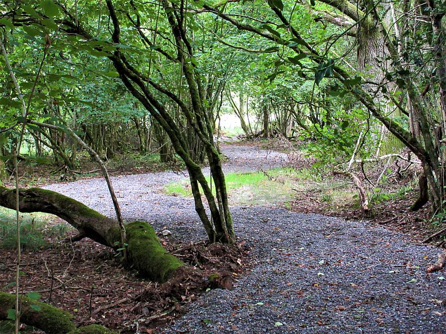 Land & Access To Private Lough Leambeg