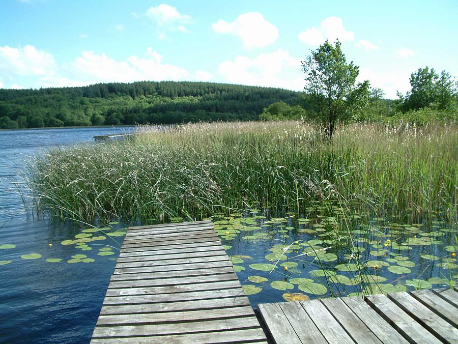 Land & Access To Private Lough Leambeg