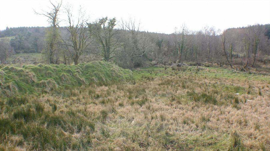 Carrickpolin Road Building Site