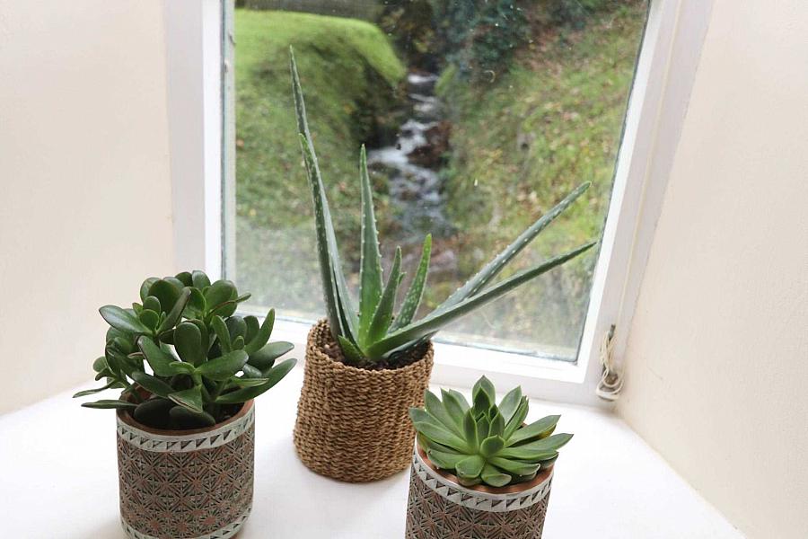 Killywillin Mill Killywillan Road