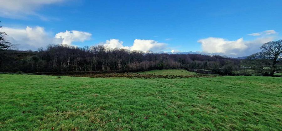 Lands For Sale Of Letter Road