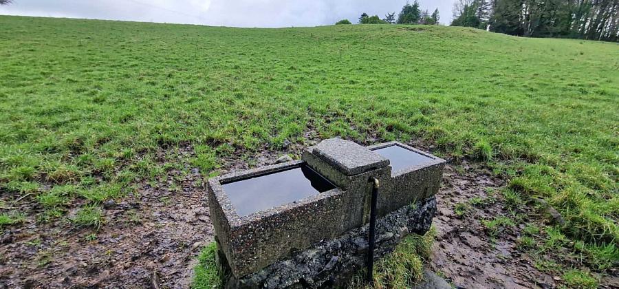 Lands For Sale Of Letter Road