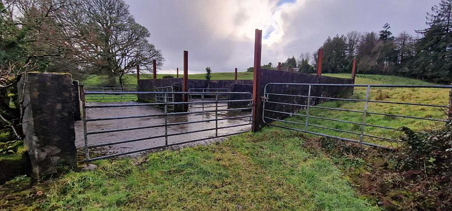 Lands For Sale Of Letter Road