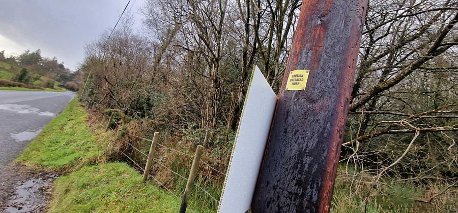 Lands For Sale Of Letter Road