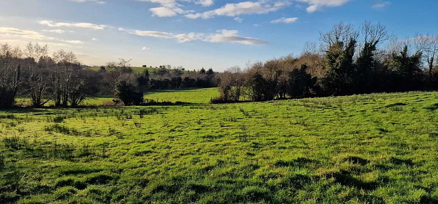 Circa 10.8 Acres Agricultural Land Bohattan Lane