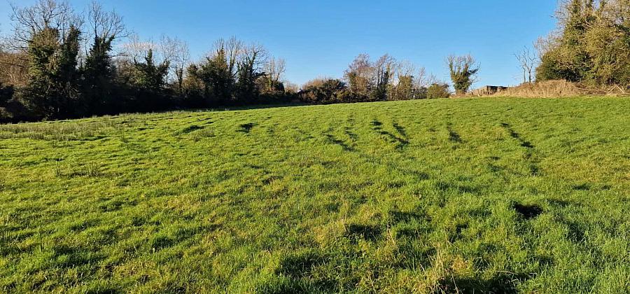 Circa 10.8 Acres Agricultural Land Bohattan Lane