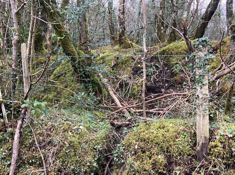 Circa 1.6 Acres Letter Road