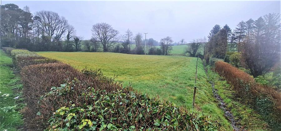 Land - Circa 1 Acre Field Gardiners Cross Road