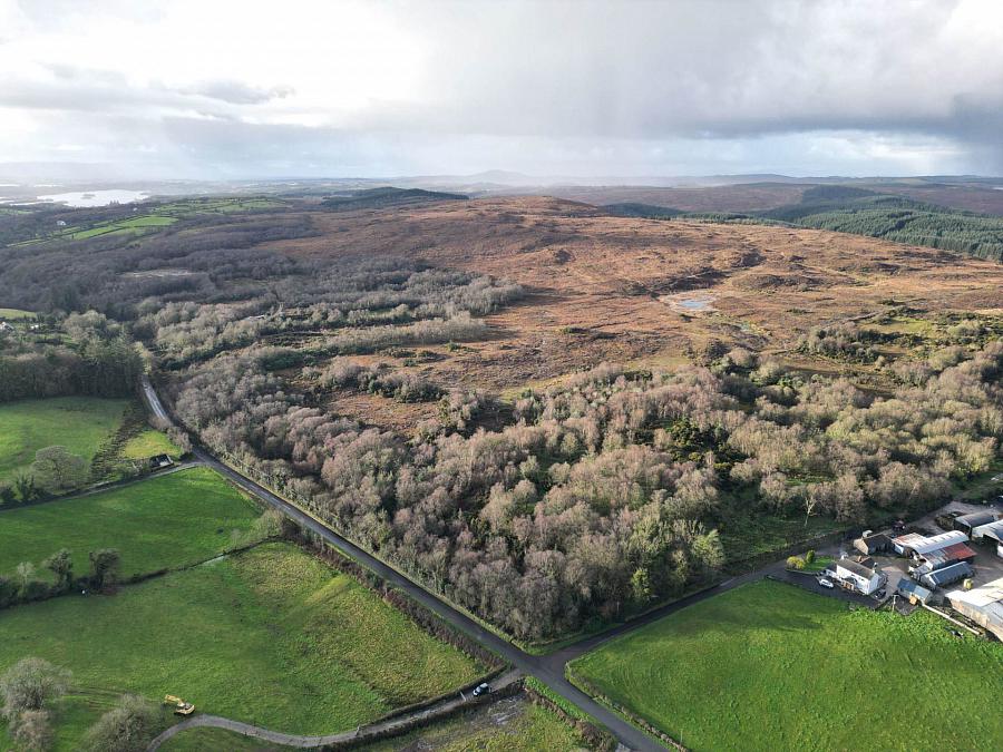 Circa 11.3 Acres Mountain Ground Brookhill Road