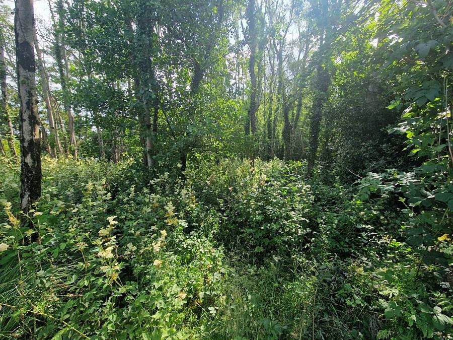 Building Site With Full Planning At Lough Barry