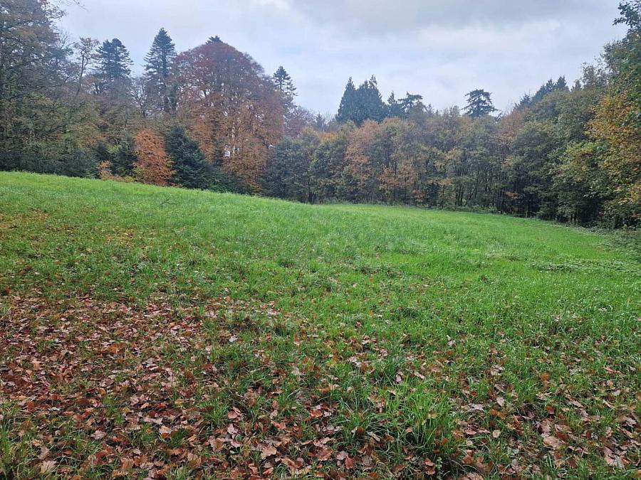 Circa 1.2 Acre Housing Development Fpp Cullion Road