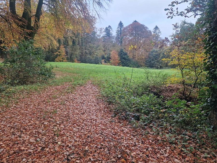 Circa 1.2 Acre Housing Development Fpp Cullion Road