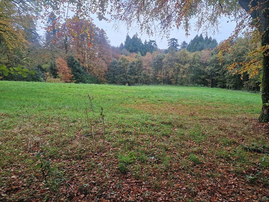 Circa 1.2 Acre Housing Development Fpp Cullion Road