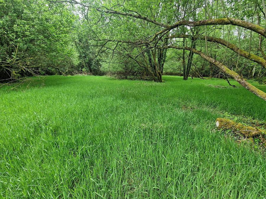 Building Site With 7 Acres Raw Rd