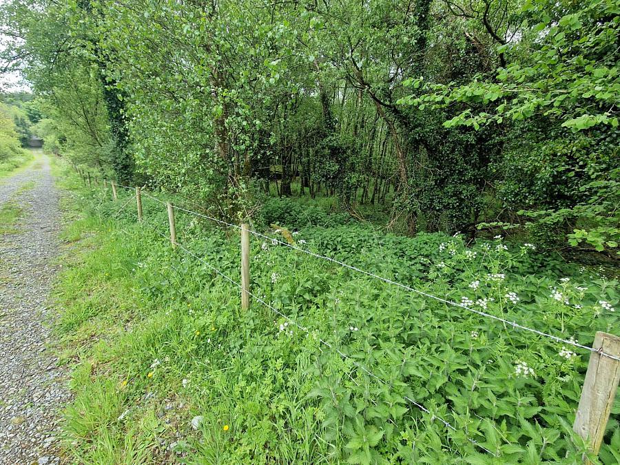 Building Site With 7 Acres Raw Rd