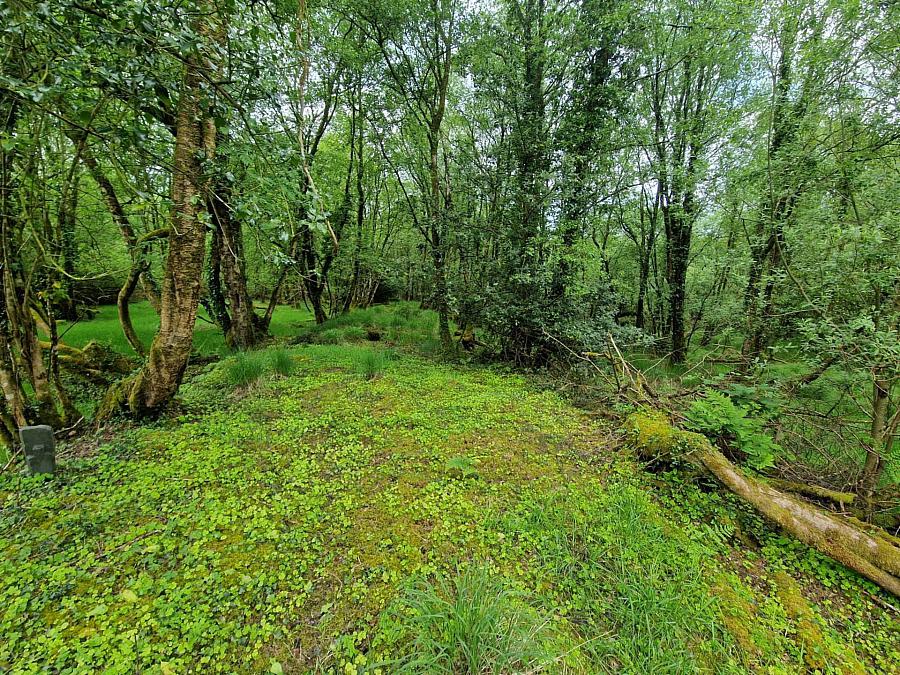 Building Site With 7 Acres Raw Rd