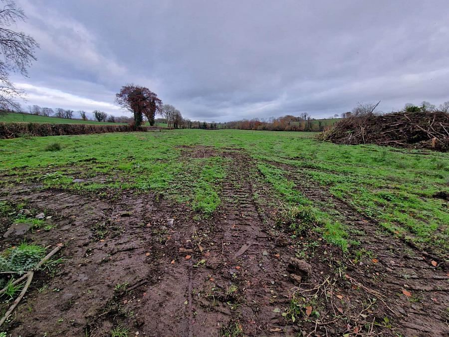 Circa 10 Acres Agricultural Land And House Golan Road
