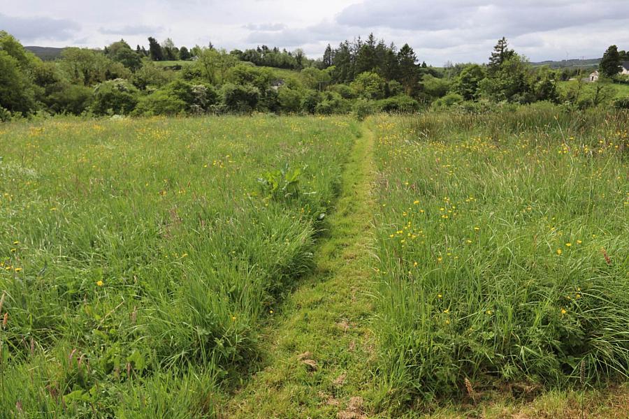 9.7 Acres Bungalow & Sheds Cooneen Road 9.7 Acres Bungalow & Sheds Cooneen Road