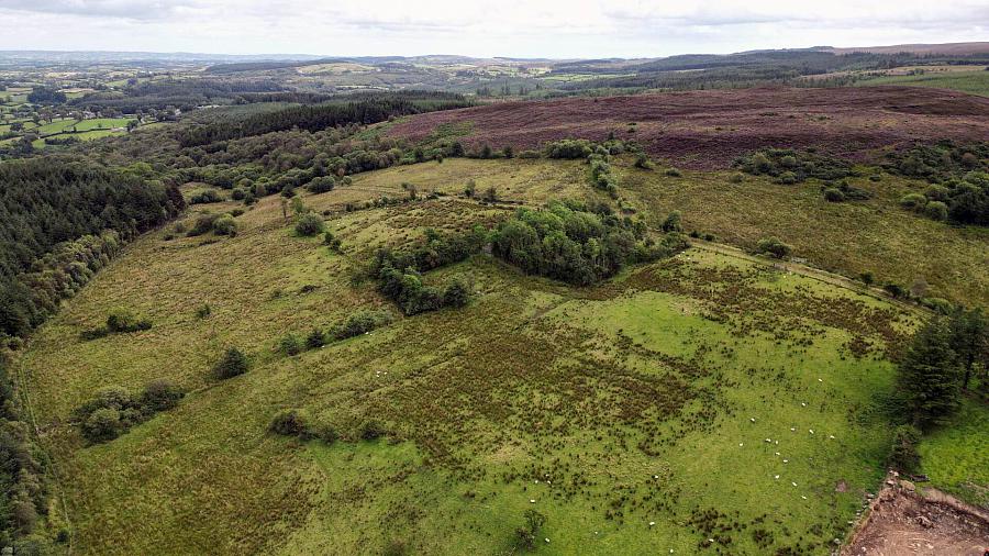 Circa 86.5 Acres At Golan Slatmore Road
