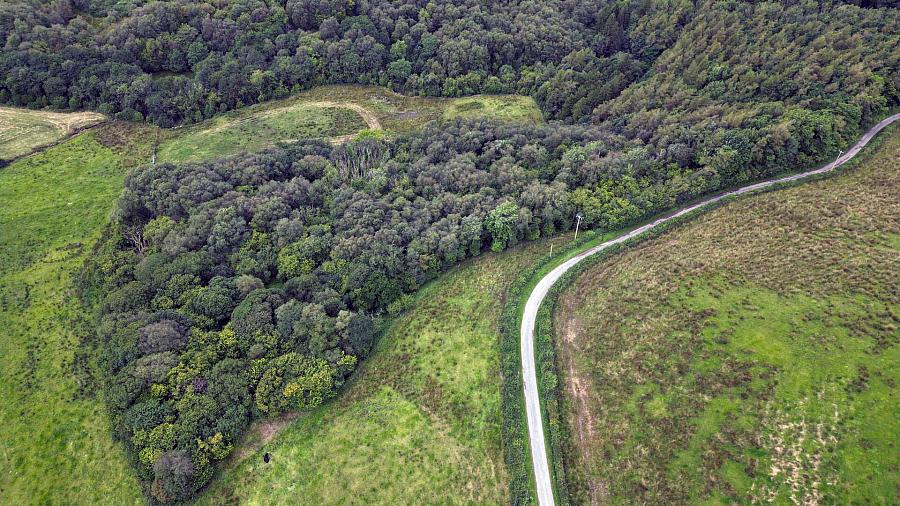 Circa 86.5 Acres At Golan Slatmore Road