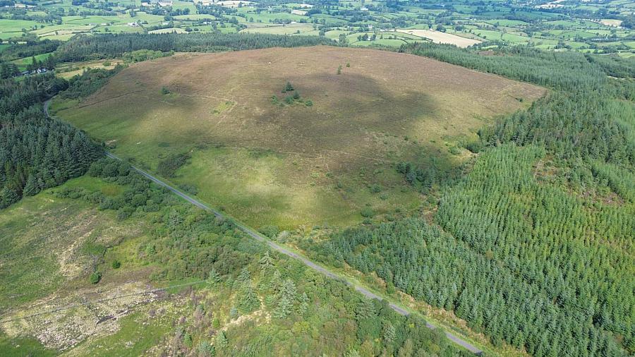 Circa 86.5 Acres At Golan Slatmore Road