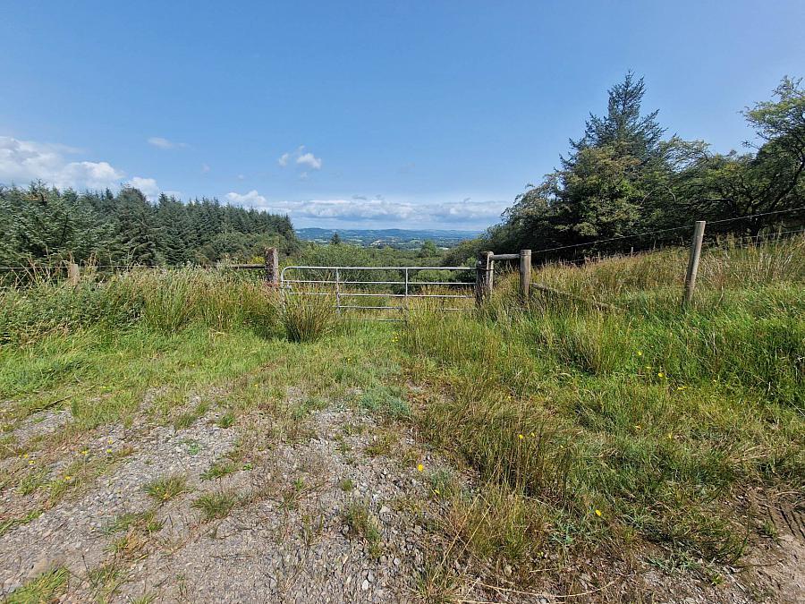 Circa 86.5 Acres At Golan Slatmore Road