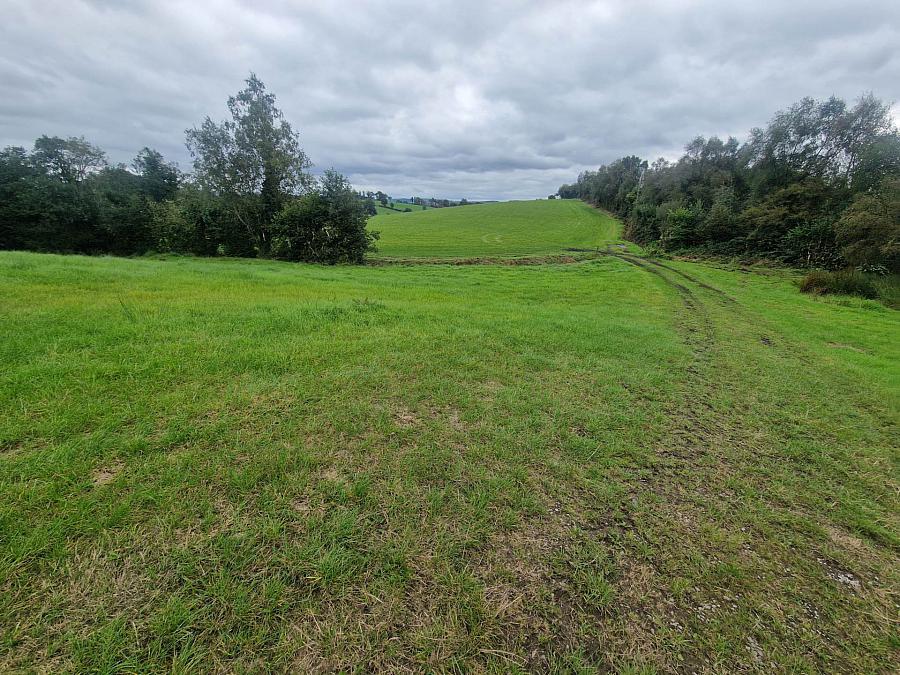 Circa 29.7 Acres Tullyreagh Road