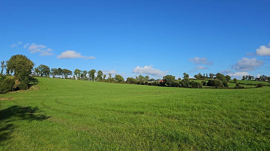 Circa 29.7 Acres Tullyreagh Road