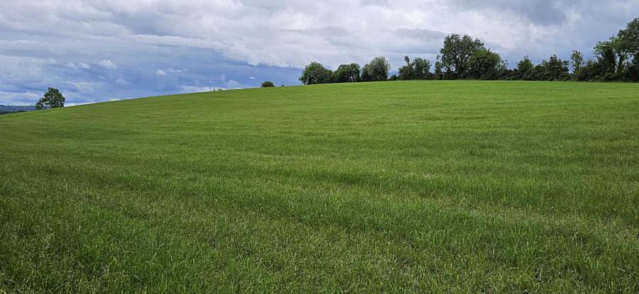 Circa 29.7 Acres Tullyreagh Road