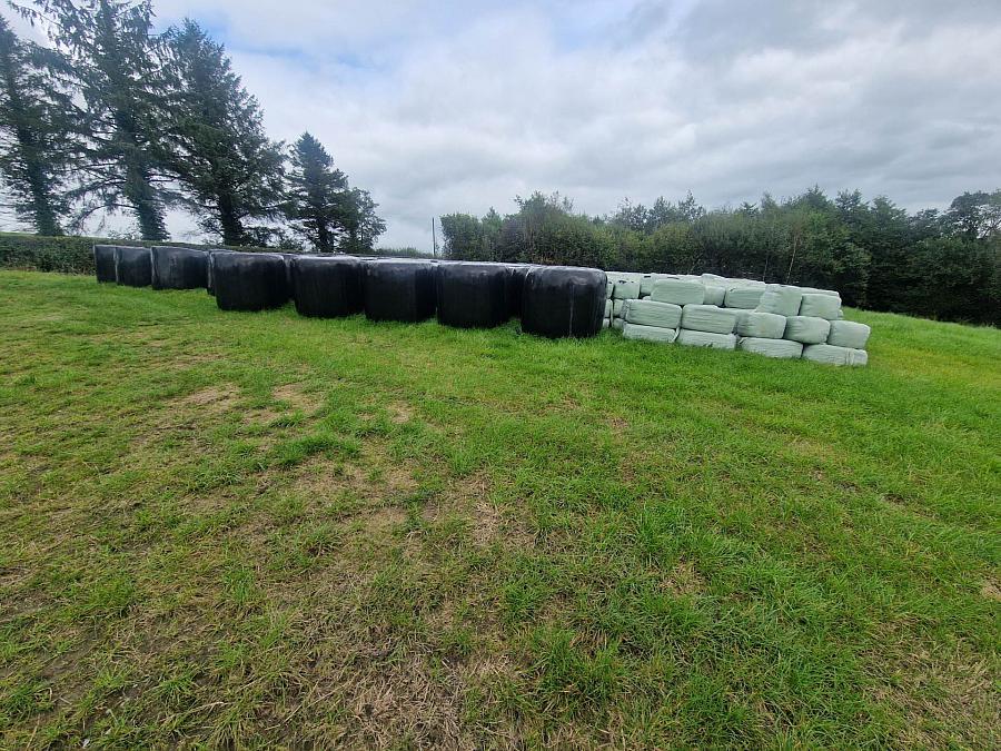 Circa 29.7 Acres Tullyreagh Road