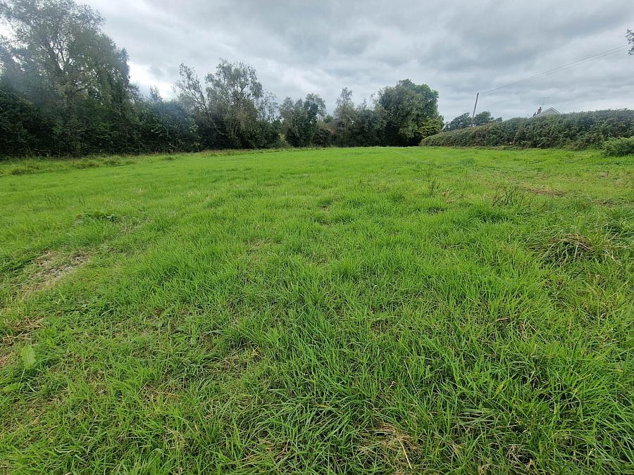 Circa 29.7 Acres Tullyreagh Road