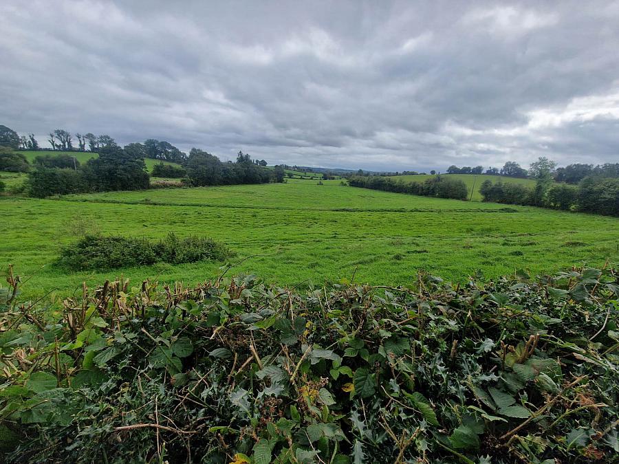 Circa 29.7 Acres Tullyreagh Road