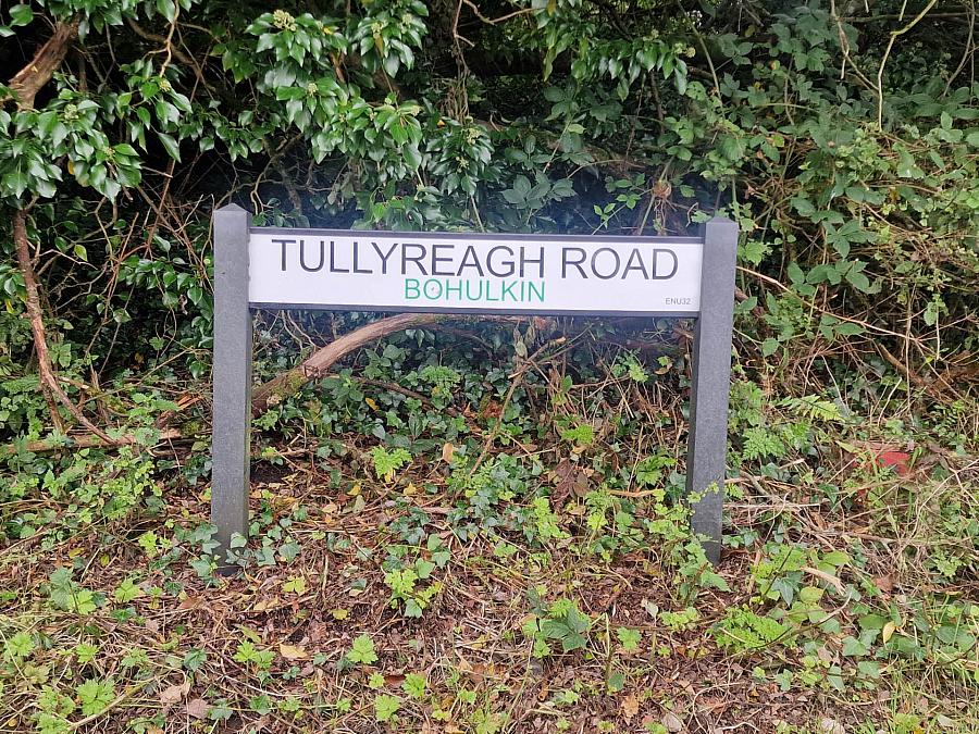 Circa 29.7 Acres Tullyreagh Road