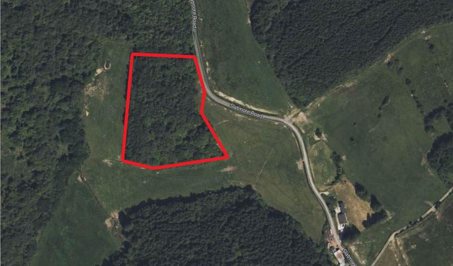 Circa 7.2 Acres Of Unmanaged Woodland