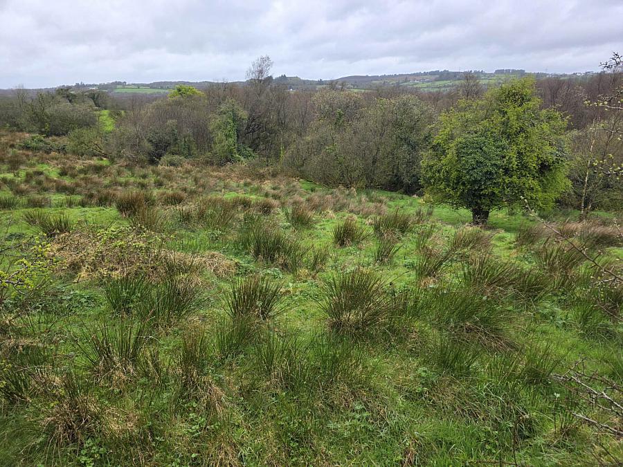 Site &     Acres Burrow Road