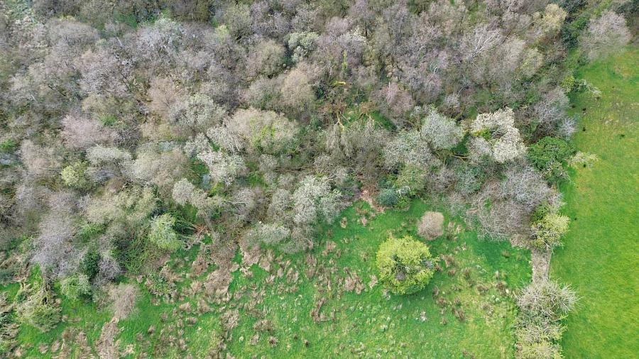 Site &     Acres Burrow Road